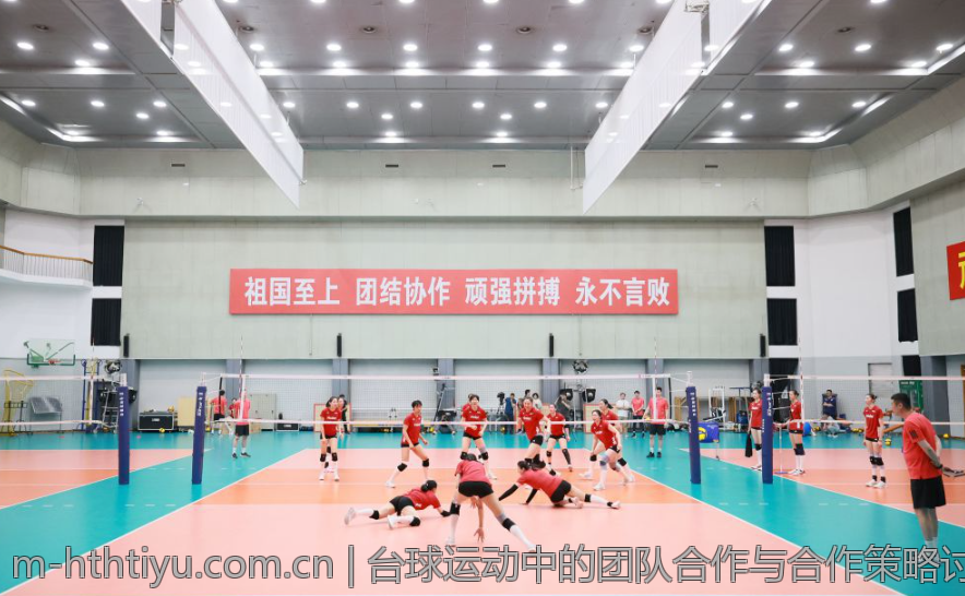 台球运动中的团队合作与合作策略讨论