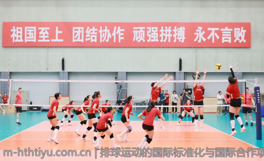 排球运动的国际标准化与国际合作项目介绍