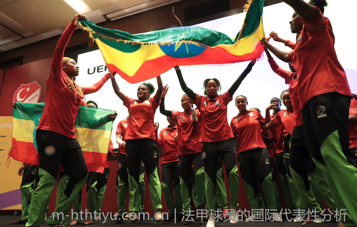 法甲球员的国际代表性分析